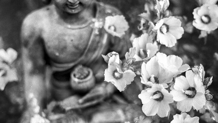 The Great Dharma of Zen Practice