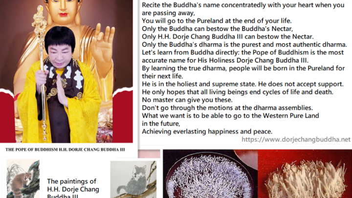 How can I go to Western Pureland in the future? By learning from the Pope of Buddhism