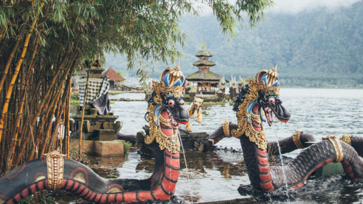 "Ye Gong Loves Dragons" Style