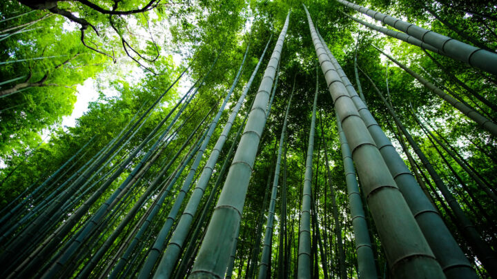 Philosophical Sayings About Worldly Matter (VIII)